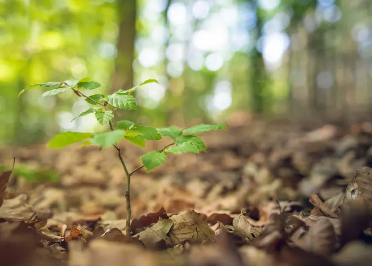 Inheritance tax (IHT) is payable on estates worth more than £325,000