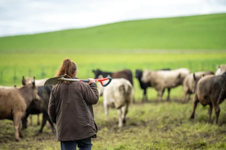 Agricultural Property Relief and the effects of the 2024 Budget