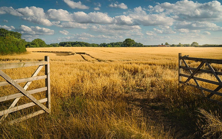 The future of your farm could be at stake in a divorce