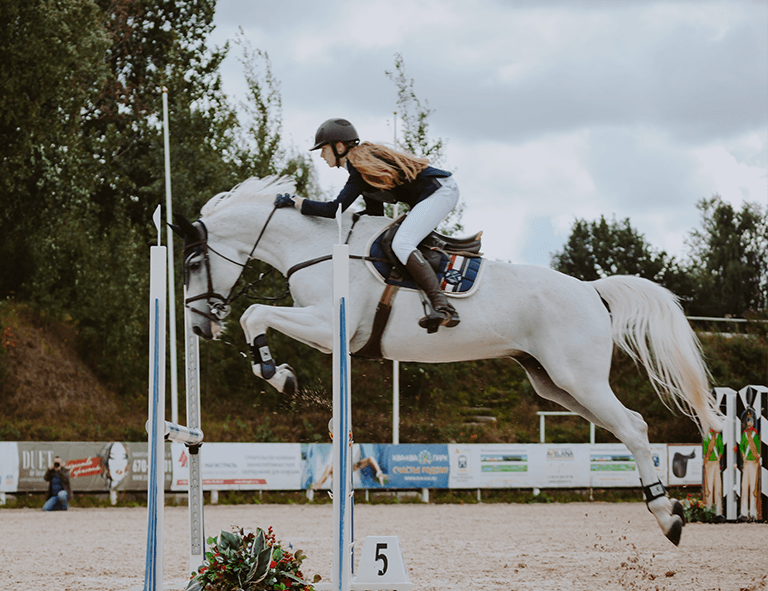 What to put in a horse sale agreement