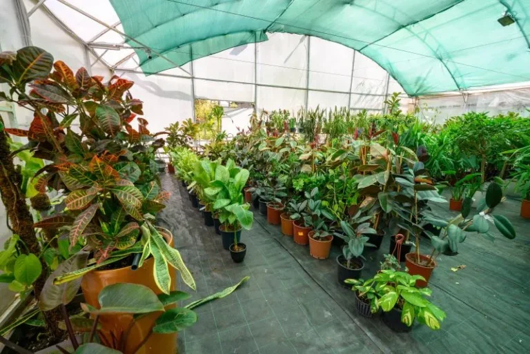 Rothera Bray's Corporate team recently advised on the acquisition of a Lincolnshire plant nursery, safeguarding 39 jobs