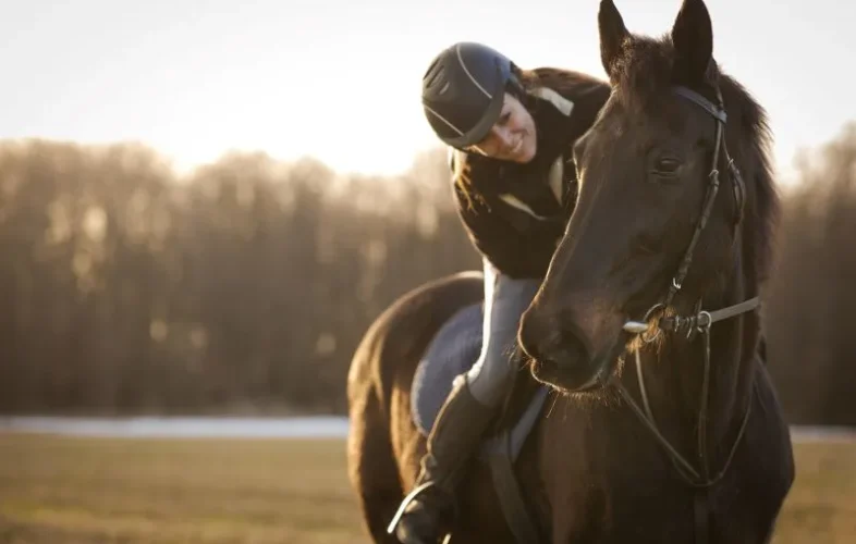 A knowledge of liability and how it applies to riding and training horses can be useful for both owners and professionals