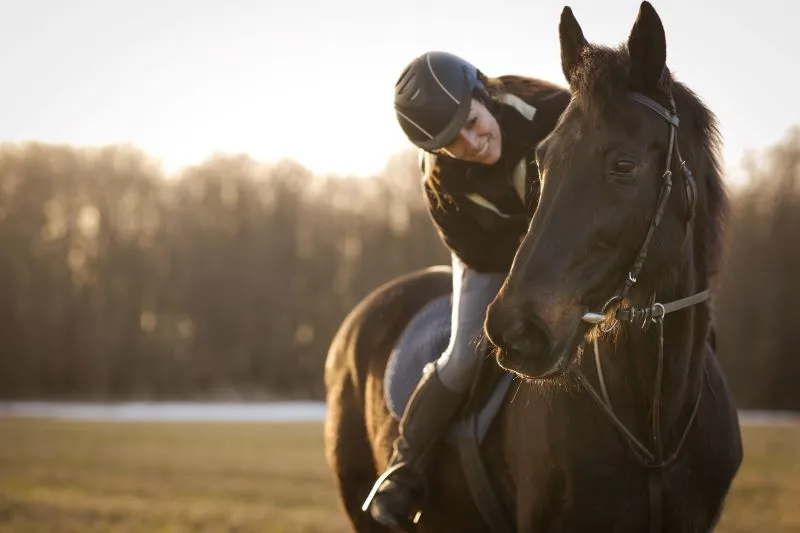 A knowledge of liability and how it applies to riding and training horses can be useful for both owners and professionals