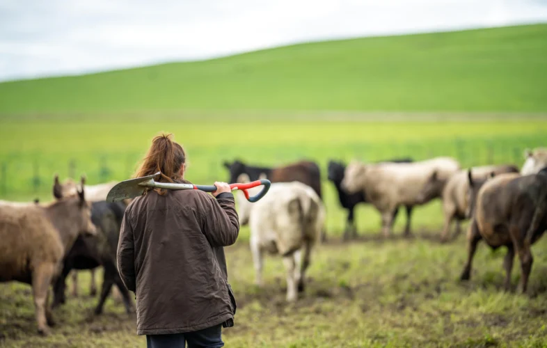 Agricultural Property Relief and the effects of the 2024 Budget