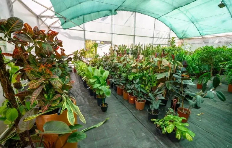 Rothera Bray's Corporate team recently advised on the acquisition of a Lincolnshire plant nursery, safeguarding 39 jobs